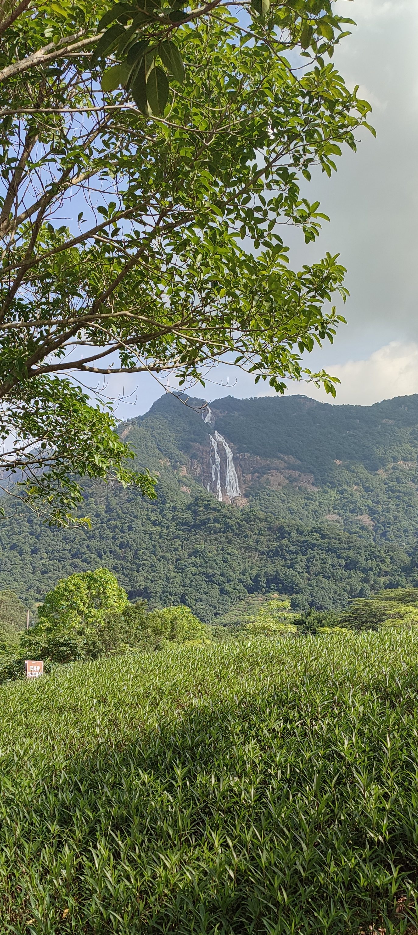 View of the highest waterfall in China-Baishuizhai in Zengcheng, Guangzhou